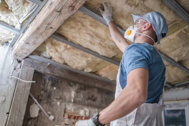 Types of Insulation We Offer in Longwood, FL