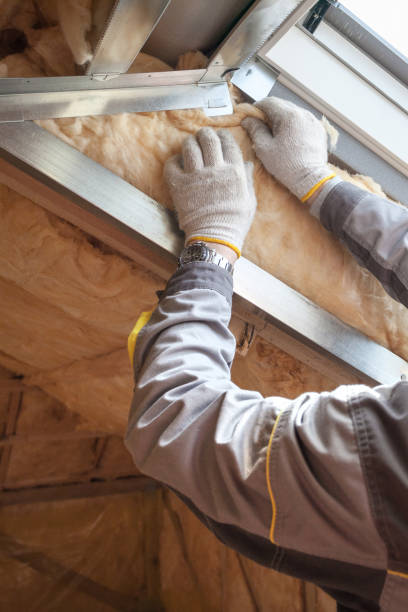 Best Geographic-Specific Insulation Services in Longwood, FL
