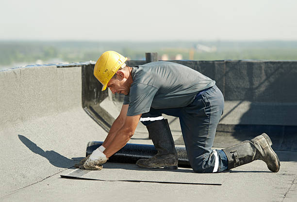 Best Fiberglass Insulation in Longwood, FL