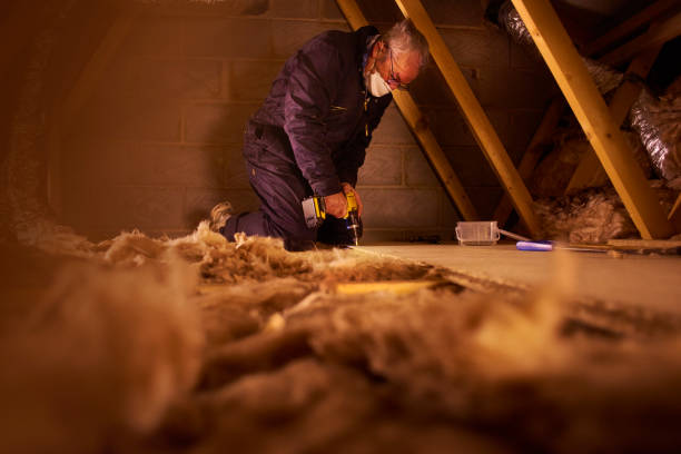 Professional Insulation Contractor in Longwood, FL